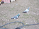 DSCN0380
