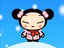 Pucca