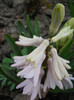 DSCN2156