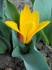 DSCN2162