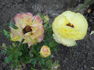 DSCN2164