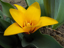 DSCN2174