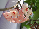 DSCN7672