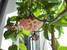 DSCN7677
