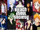 Bleach