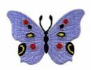 fluturele-colorat