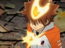 tsuna 11
