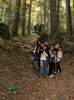 Munte 04- 06.11.2011