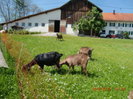 pfingstmontag103
