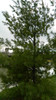 DSCN1261