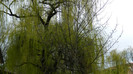DSCN1264