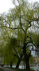 DSCN1265