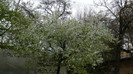 DSCN1267