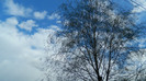 DSCN1268