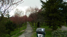 DSCN1269