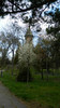 DSCN1272