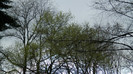 DSCN1284