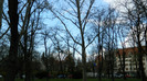 DSCN1292