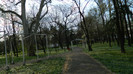 DSCN1321