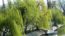 DSCN1347