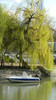DSCN1351