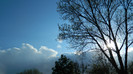 DSCN1364