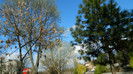 DSCN1365