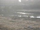 DSCN7263
