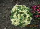 DSCN0373