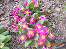 DSCN0374