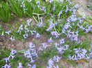 DSCN0376