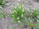 DSCN0377