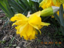 DSCN0380