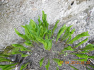 DSCN0383