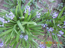DSCN0391
