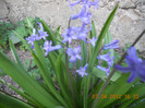 DSCN0392