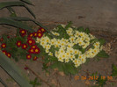 DSCN0403