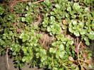 DSCN0406