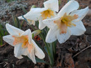 DSCN2229