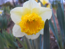DSCN2235