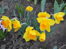 DSCN2237