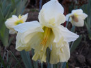 DSCN2240