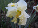 DSCN2241