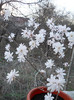 DSCN2245