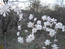 DSCN2246