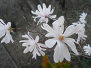 DSCN2248