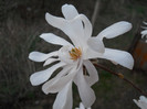 DSCN2249