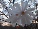 DSCN2251