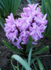 DSCN2255