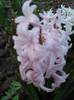 DSCN2262